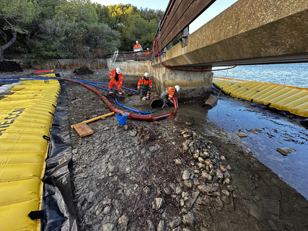 Pompage à l’intérieur d’un batardeau souple en milieu marin avec intervention sur les crépines obstruées par des algues mortes.